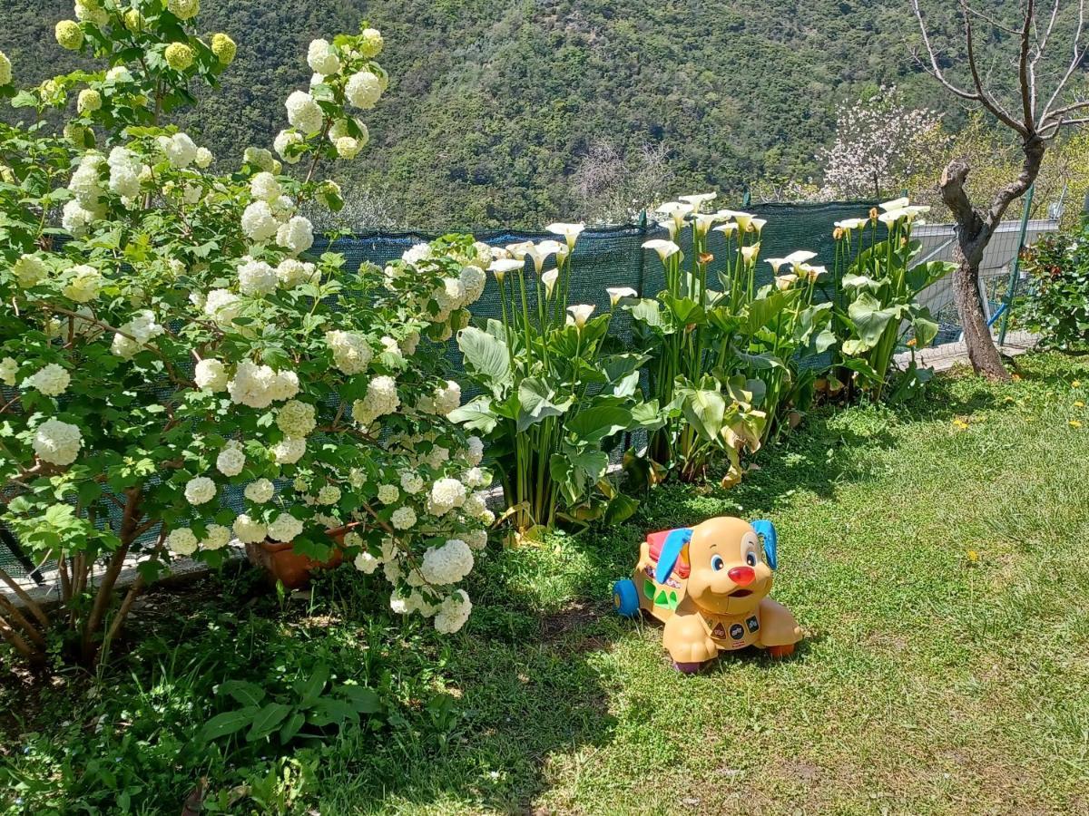ソーリ Casa Canepaヴィラ エクステリア 写真